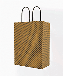 Kağıt Çanta Büklüm Sap 21x27x10 Çizgili 25 Parça - 