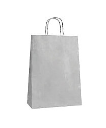 Kağıt Çanta Büklüm Sap 26x32x12 Cm Gümüş 25 Parça - 