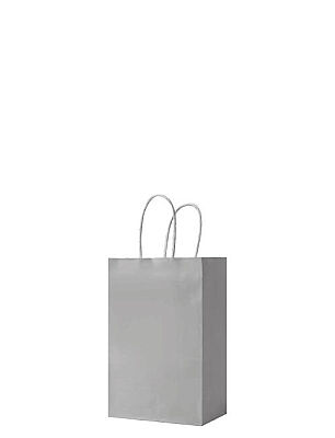 Kağıt Çanta Mini Boy 12x15x6 Cm 25 Parça Gümüş - 1