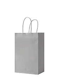 Kağıt Çanta Mini Boy 16x21x8 Cm 25 Parça Gümüş - 