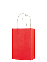 Kağıt Çanta Mini Boy 16x21x8 Cm 25 Parça Kırmızı - 