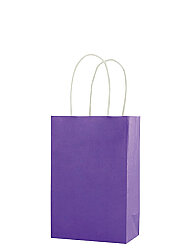 Kağıt Çanta Mini Boy 16x21x8 Cm 25 Parça Mor - 
