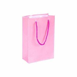 Karton Çanta 12 x 17 Cm Pembe 25 'li - 