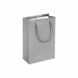 Karton Çanta 17 x 25 Cm Gümüş 25li - 