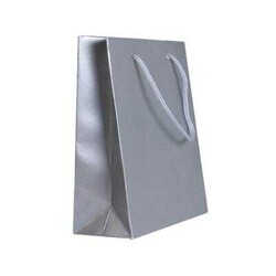 Karton Çanta 26 x 24 Cm Gümüş 25li - 