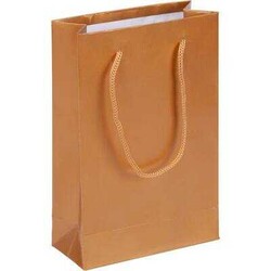 Karton Çanta 35 x 45 Cm Gold 10 'lu - 