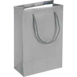 Karton Çanta 35 x 45 Cm Gümüş 10 'lu - 