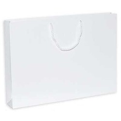 Karton Çanta 54 x 38 Cm Beyaz 10 Parça - 