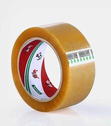 Koli Bandı 100 Mt - 